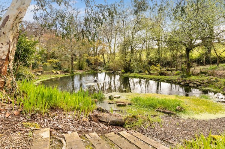 "Explore Ballinacurra" - Photo Gallery - 5