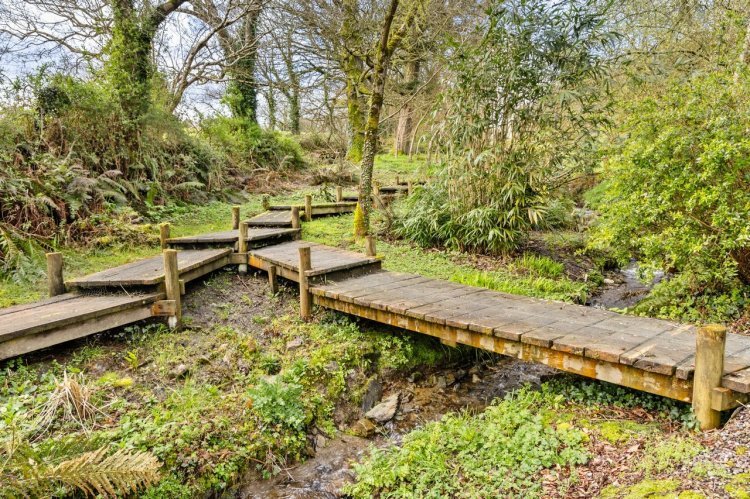 "Explore Ballinacurra" - Photo Gallery - 4