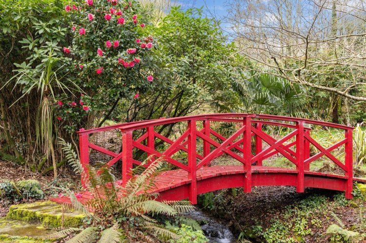 "Explore Ballinacurra" - Photo Gallery - 3