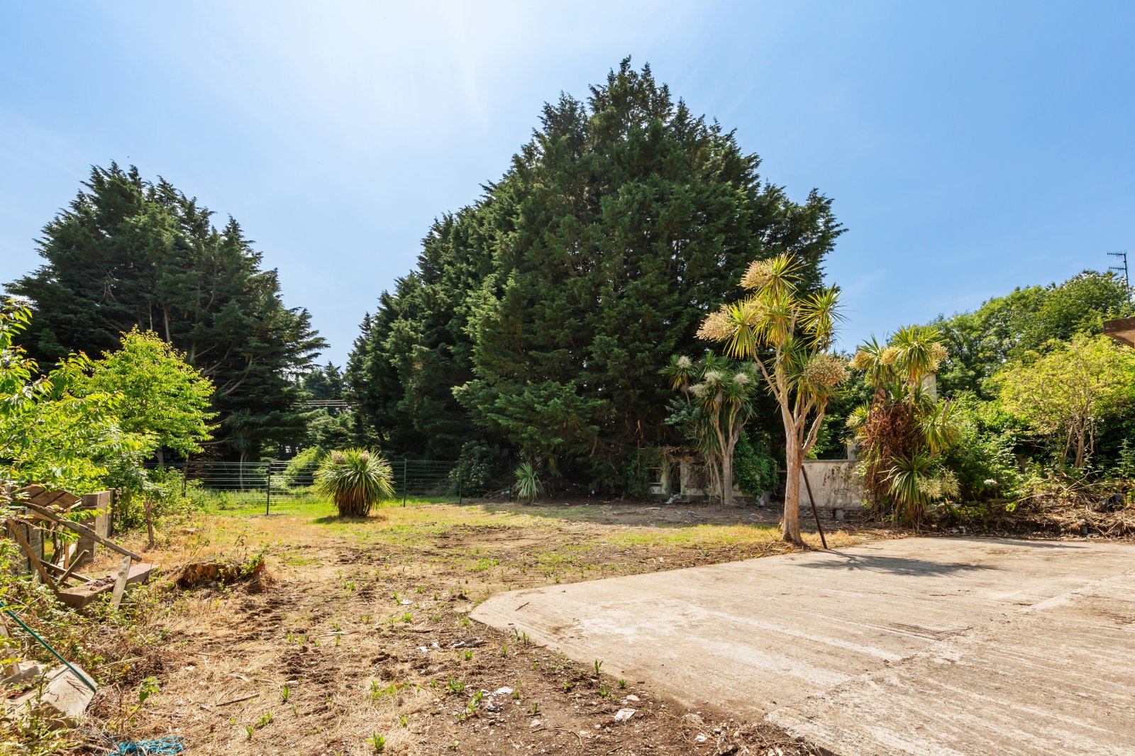 Take a Closer Look - 4