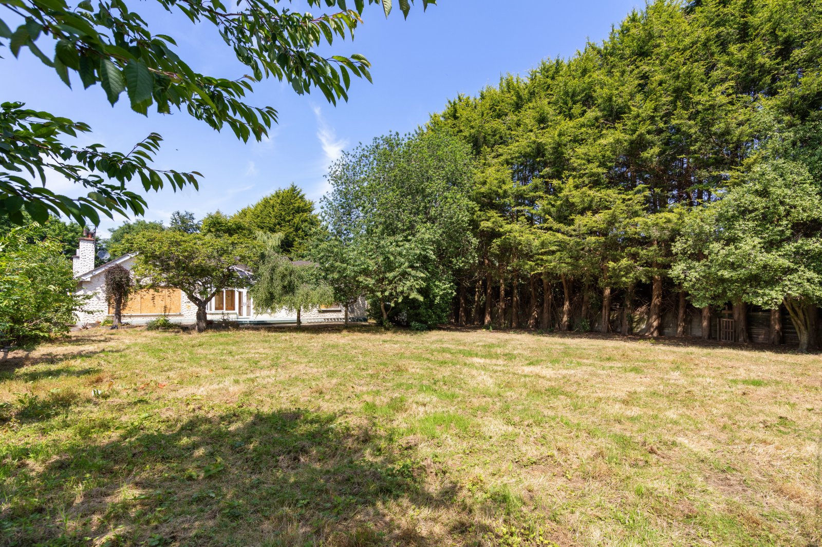 Take a Closer Look - 5