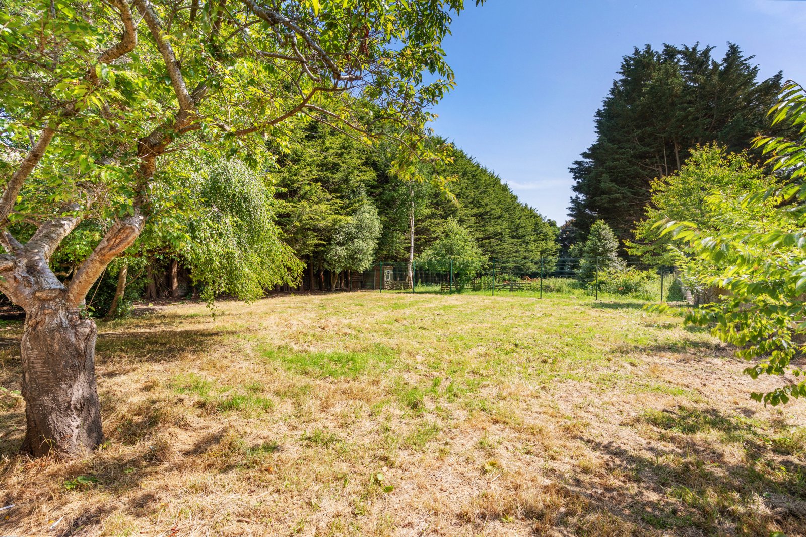 Take a Closer Look - 6