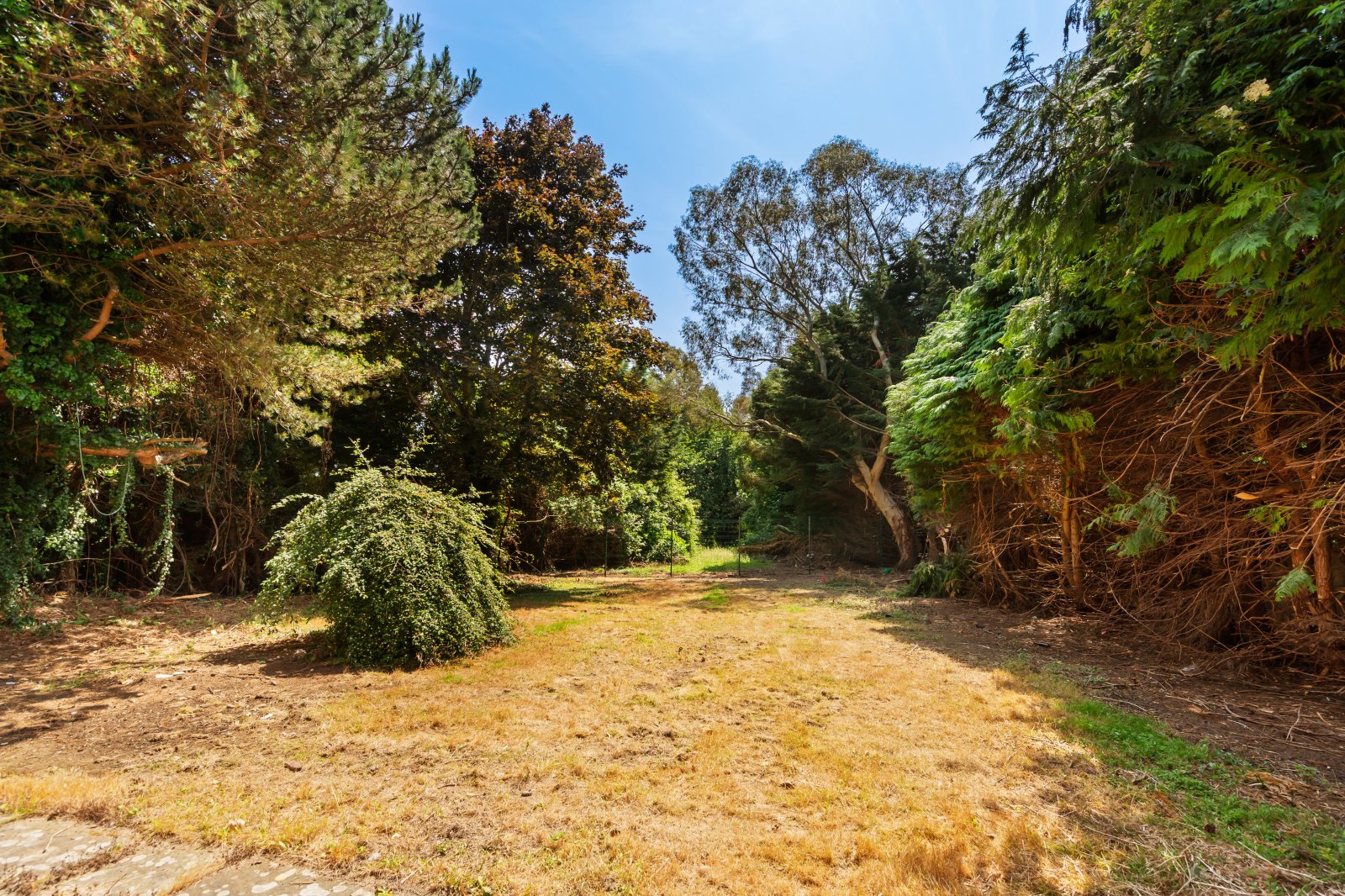 Take a Closer Look - 4