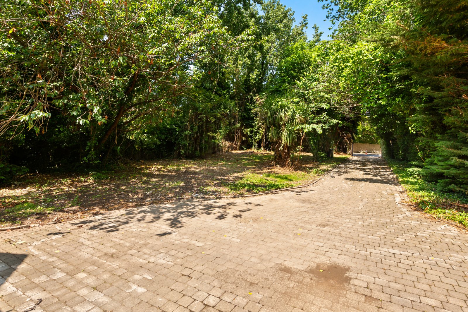 Take a Closer Look - 5