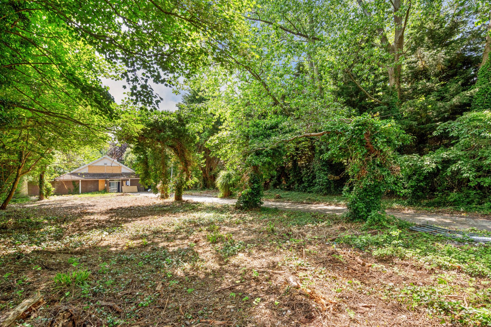 Take a Closer Look - 5